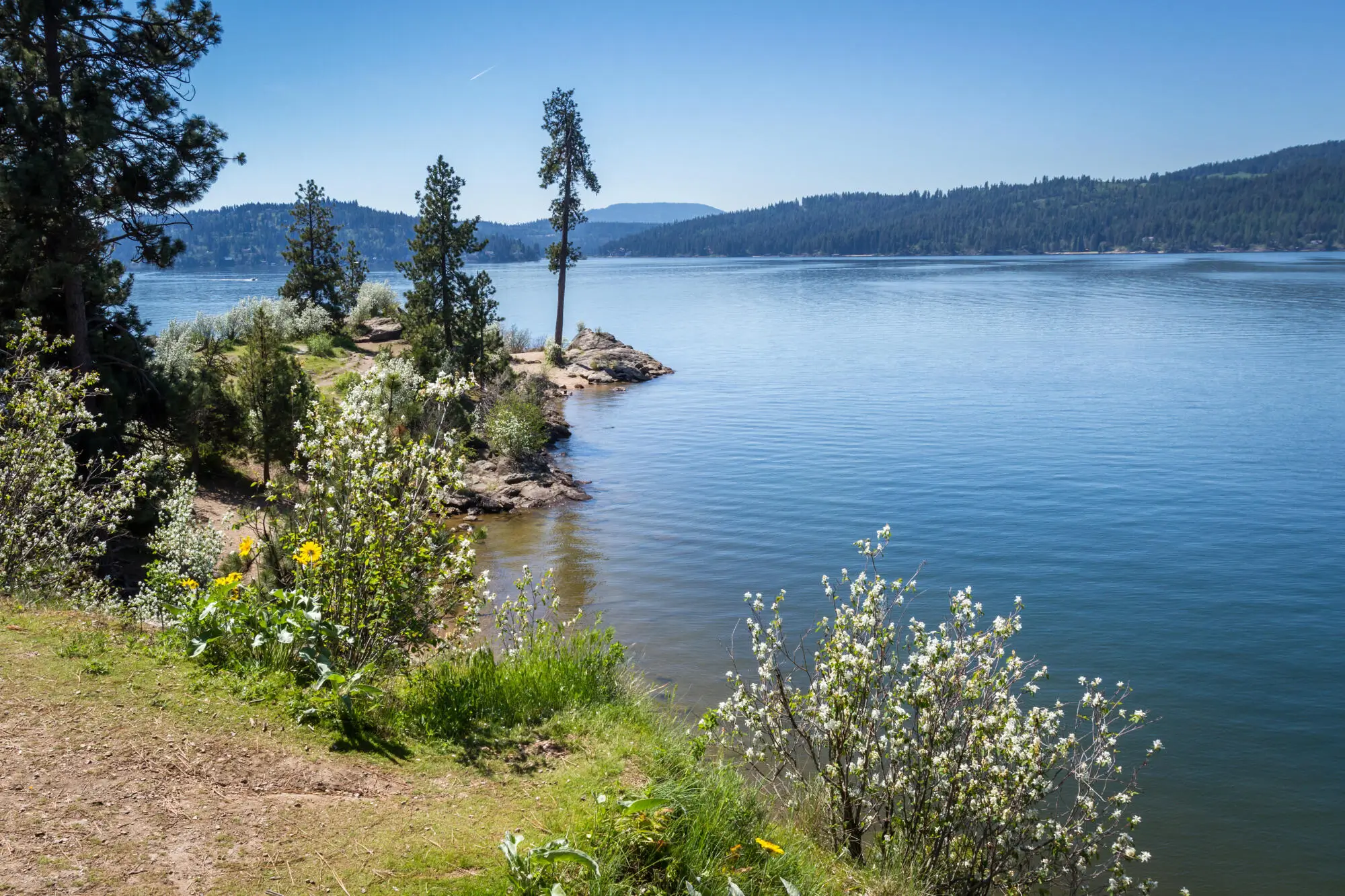 Peak Season Pricing Strategies for Vacation Rentals in Coeur d'Alene, ID